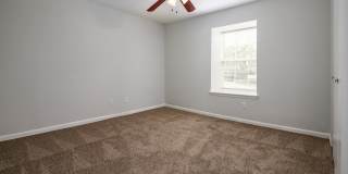 Hidden Colony Gallery 4