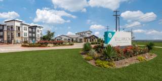 Williamson at the Overlook Gallery 1