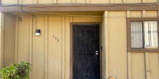 Peach Gallery 3