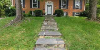 7063 WOLFTREE LN Gallery 1