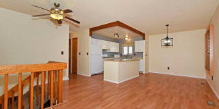Huge yard with Pikes Peak Views! Gallery 4