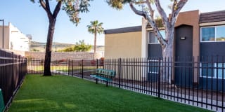 Sofi Poway Gallery 23