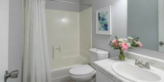 Aura Apartments Gallery 7