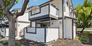 Terra House Apartments Gallery 46