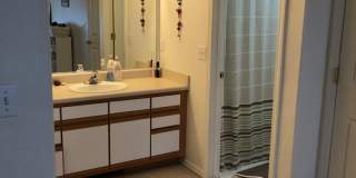 2 Bedroom, 2 Bathroom Centrally Located Condo Gallery 3