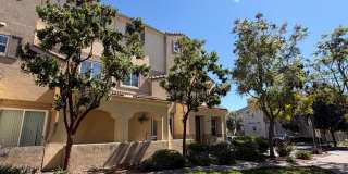 44972 Bellflower Lane #27 Gallery 1