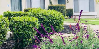 Westerly Shores Gallery 6