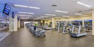 Modern Elegance and Style Colony Camelview 2 Bed Condo at the Optima! Gallery 21