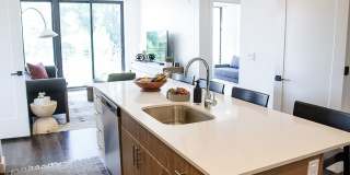 The Olive The Olive Gallery 24