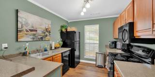 Turtle Lake Gallery 34