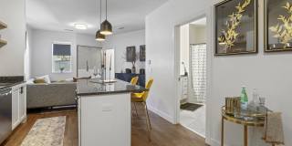 Dewey Park Gallery 17