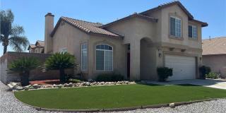 15177 Dandelion Gallery 3