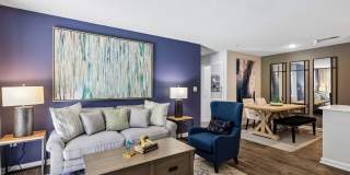 Palmetto Place Gallery 1