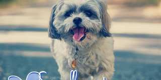 2207 Strand Gallery 11