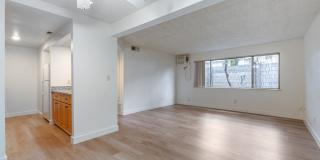 Prospera Village Gallery 8