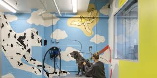 The Q Topanga Gallery 17