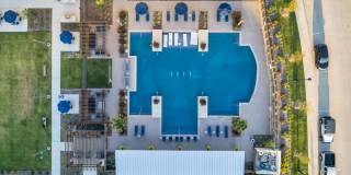 Chisholm at Tavolo Park Gallery 37