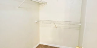 TW3716 Gallery 15