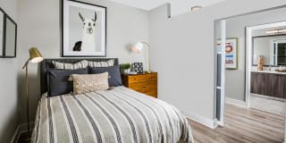 Modern on M Gallery 20