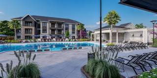 The Canter The Canter Gallery 4