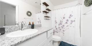 2849 Desert Mosaic Lane Gallery 22