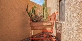1341 E Ellis Drive Gallery 41