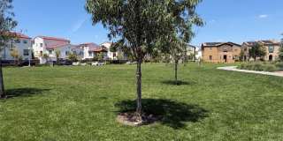 16458 Globetrotter Gallery 37