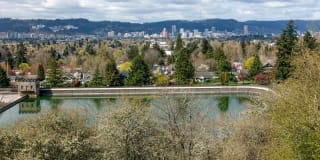 The Marilyn Gallery 45