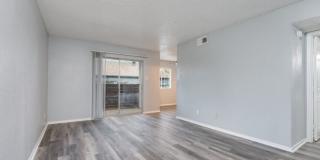 The Borough Gallery 4