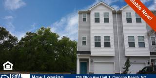 Spacious 3-Story Townhome in the Heart of Carolina Beach — Backs to State Park Gallery 1