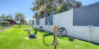 Rise Broadway Gallery 81