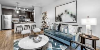 Peridot Palms Gallery 16