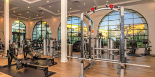 Vineyards Gallery 14