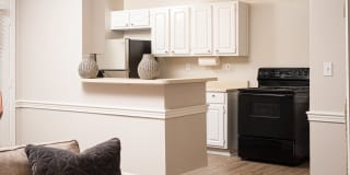 Colony Pointe Gallery 5