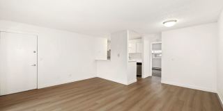 Driftwood Gallery 31