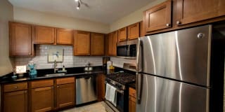 TGM Oceana Gallery 2