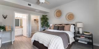 Springmarc Gallery 20