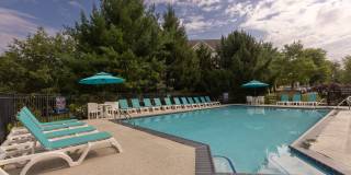 Saucon View Gallery 11