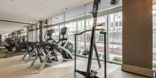 The District Gallery 21