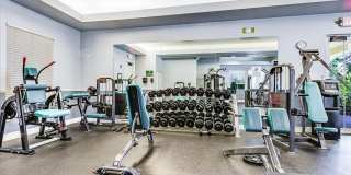 82 Stoney Drive Gallery 44