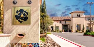 Paseos At Magnolia Luxury Apartment Homes Gallery 52