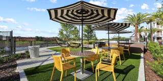 Millennium MetroWest Gallery 7