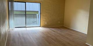 931 N Euclid Ave #216 Gallery 3