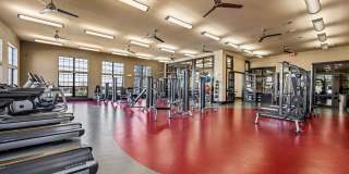 The Royce 8100 The Royce 8100 Gallery 14