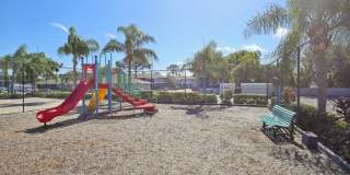 The Palms at Countryside Apartments Gallery 19