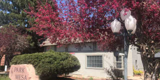 Park Mesa Gallery 170