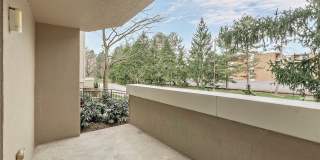 26101 Village Lane Gallery 38