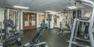 The Wellshire Gallery 26