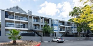 The Iris The Iris Gallery 25