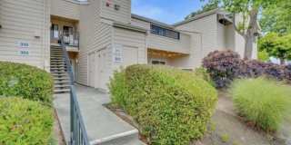 1201 Glen Cove Pkwy Apt 303 1201 Glen Cove Pkwy Apt 303 Gallery 1